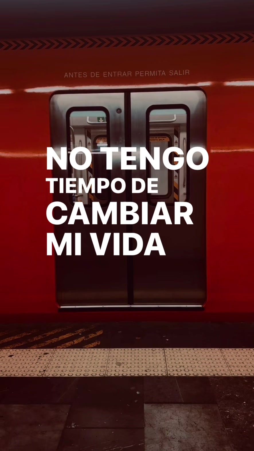 @Estereo León 📻🦁
