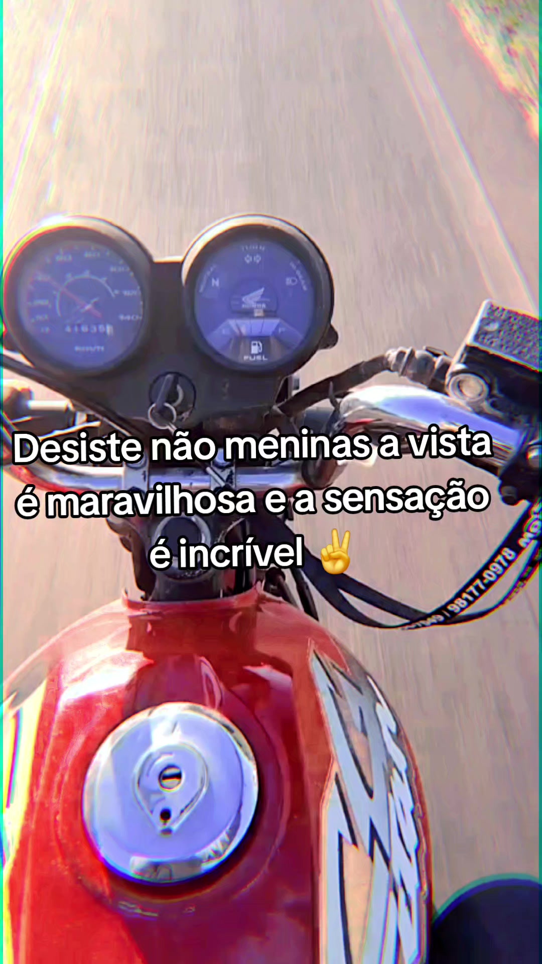 @yasmin trindade