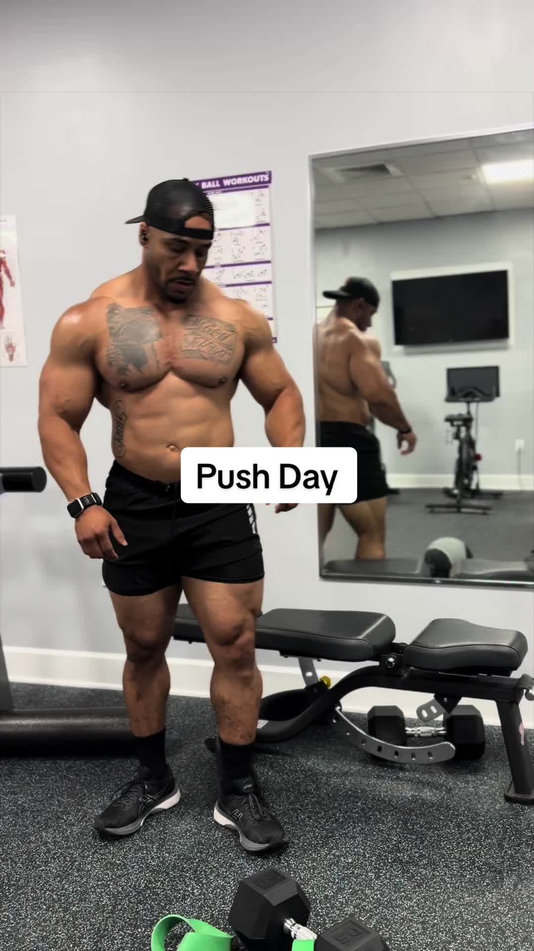 @Campus Muscle
