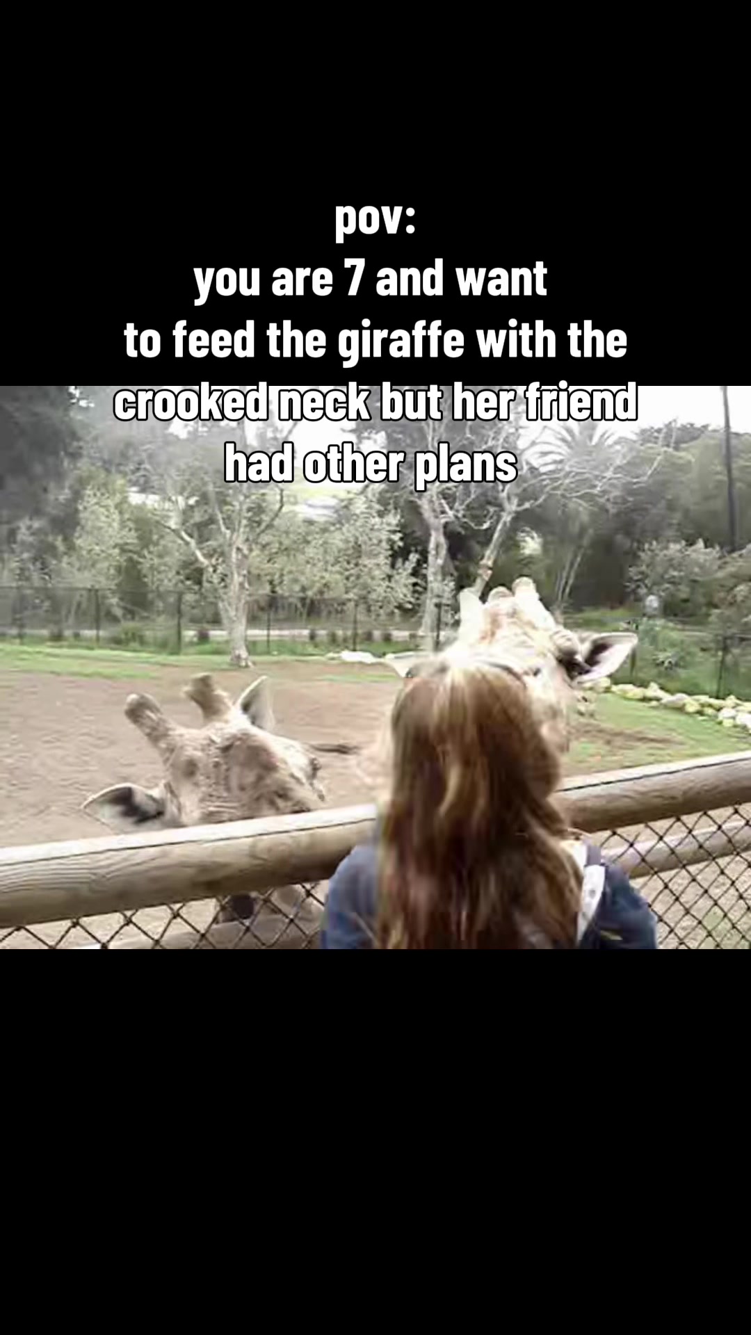 @daily dose of animals 🐾🦁🐬🦎