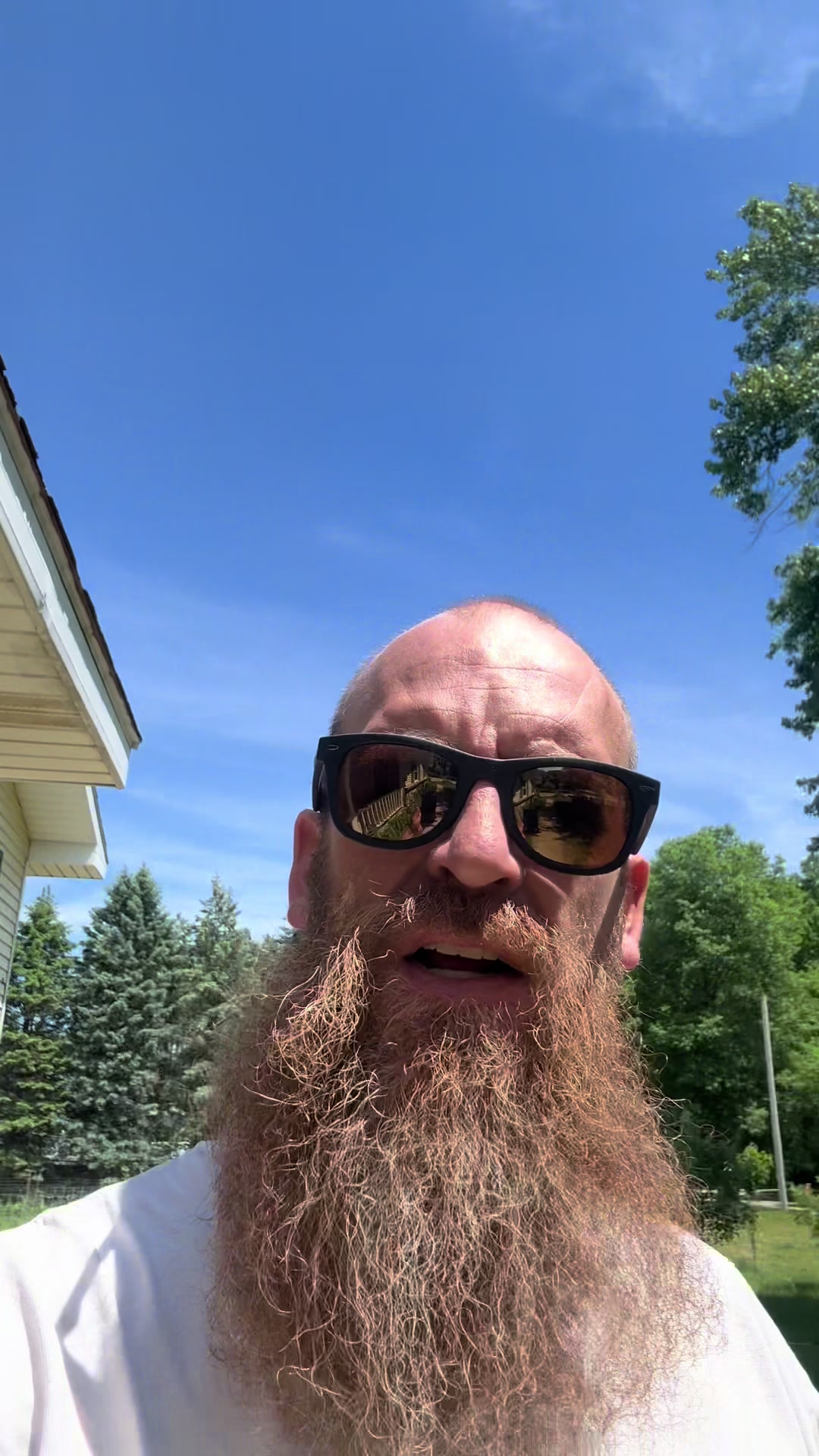 @Bearded bee man