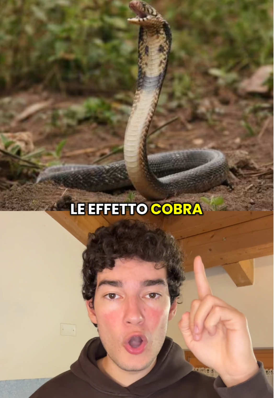 @Diego Fusina