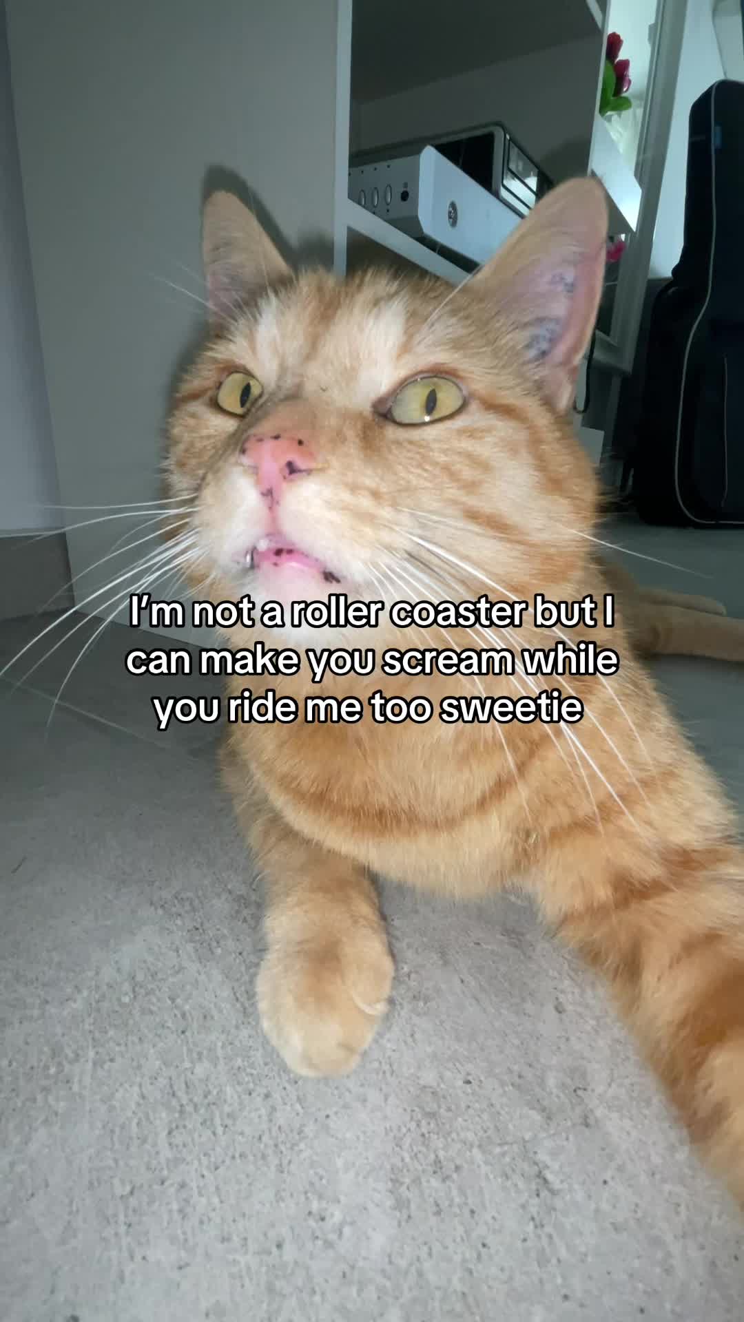 @Simba
