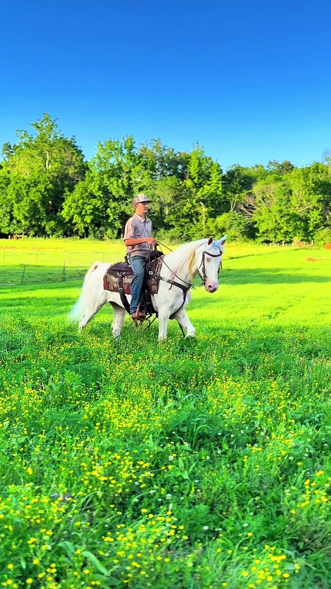@Lucky D Ranch 🍀