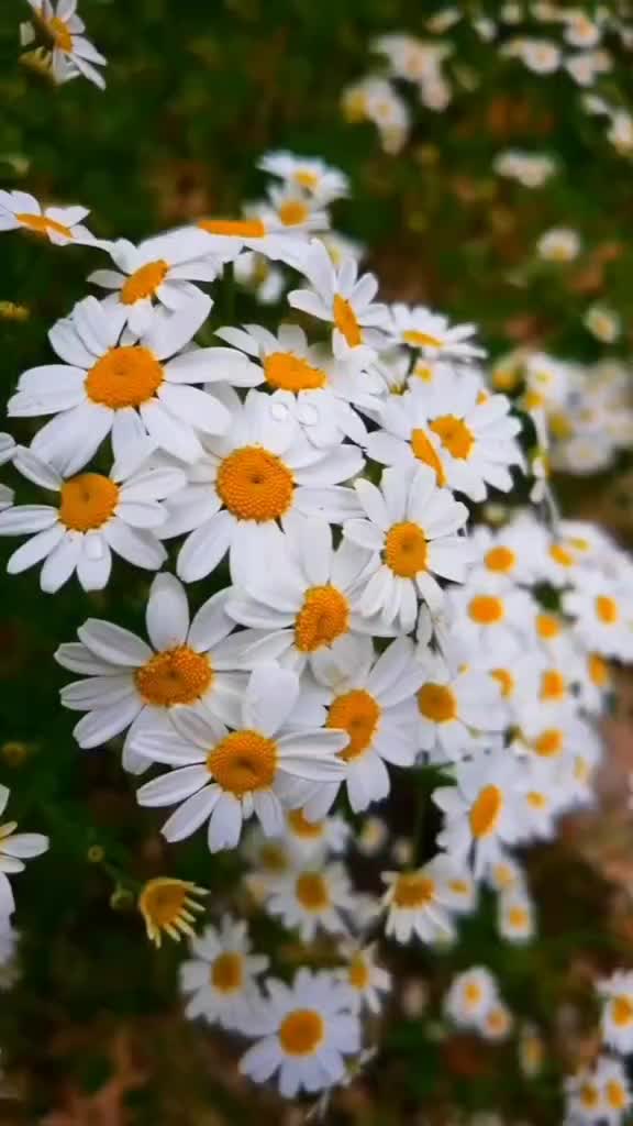 @🎀🎗️storm 🎀🎗️