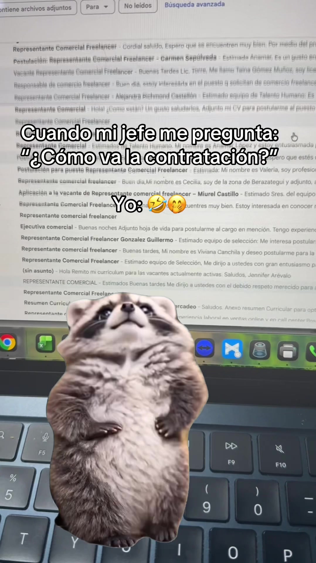 @Anamar | Remoto