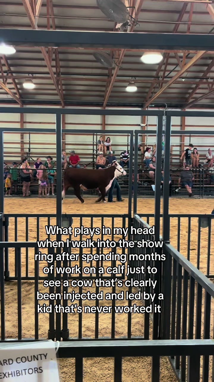 @Sylvia🐄