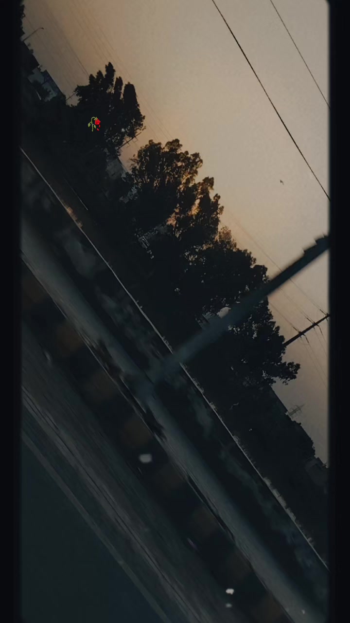 @𝑵𝒐𝒕_𝒀𝒐𝒖𝒓_𝑨𝒃𝒊𝒊🚩🖤