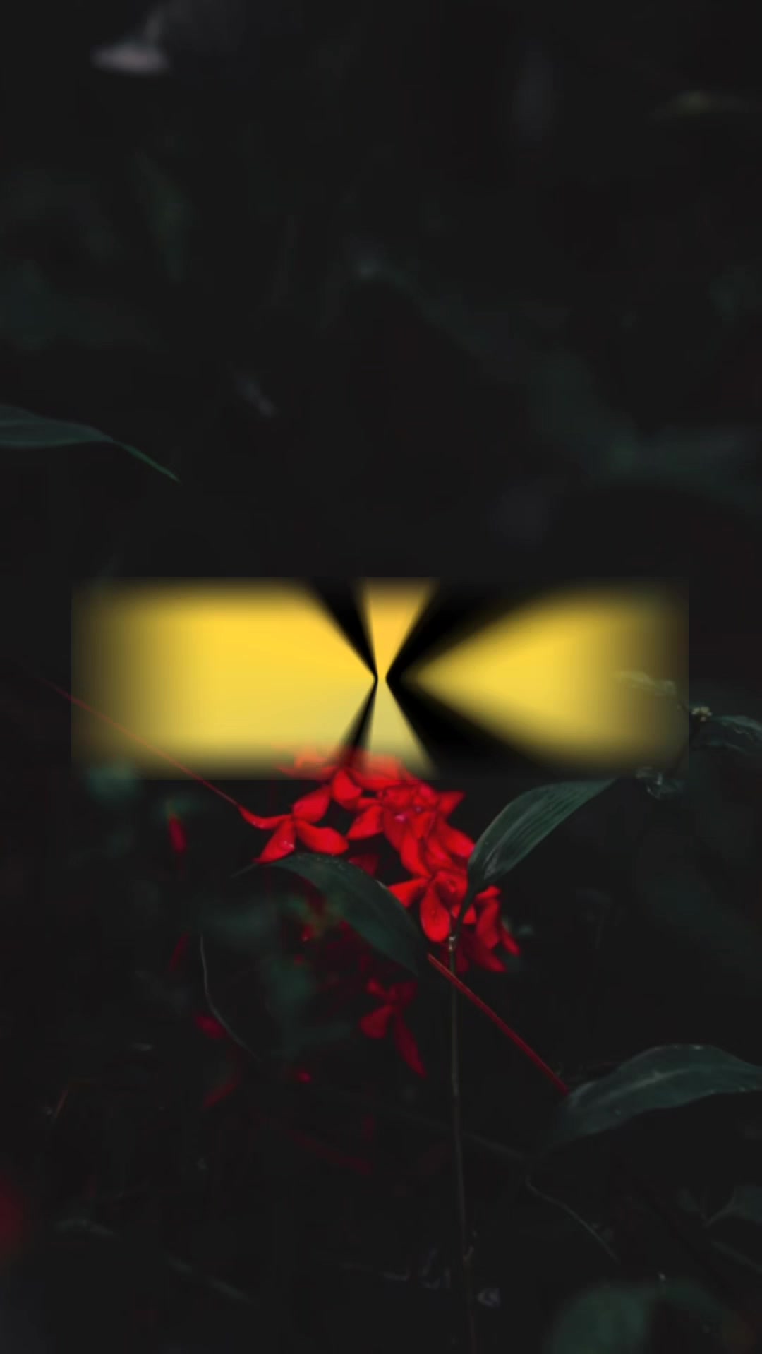 @𝕊ℝ-𝕖𝕕𝕚𝕥𝕫_