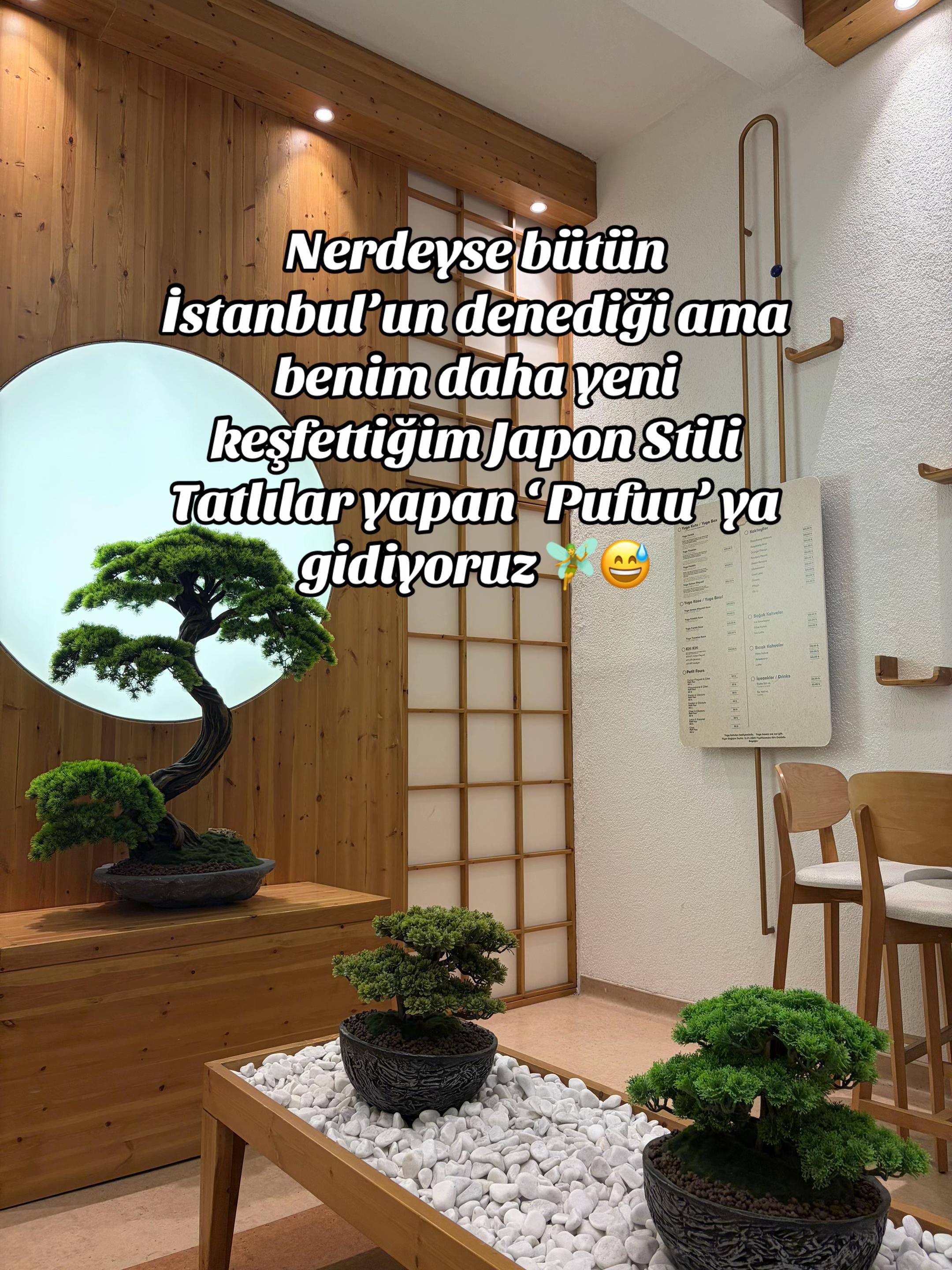 @İstanbul Kedisi