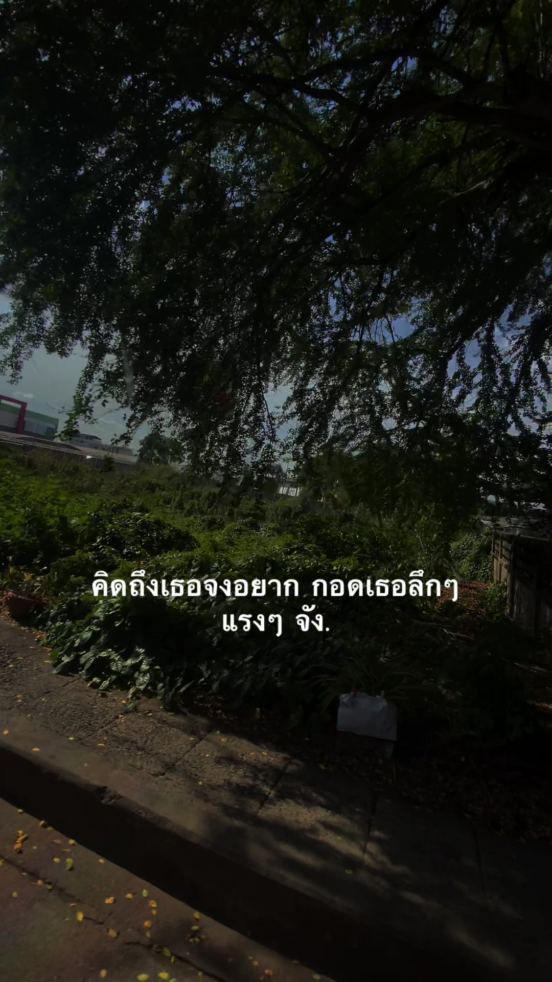 @หมาล่า  (151.4K)