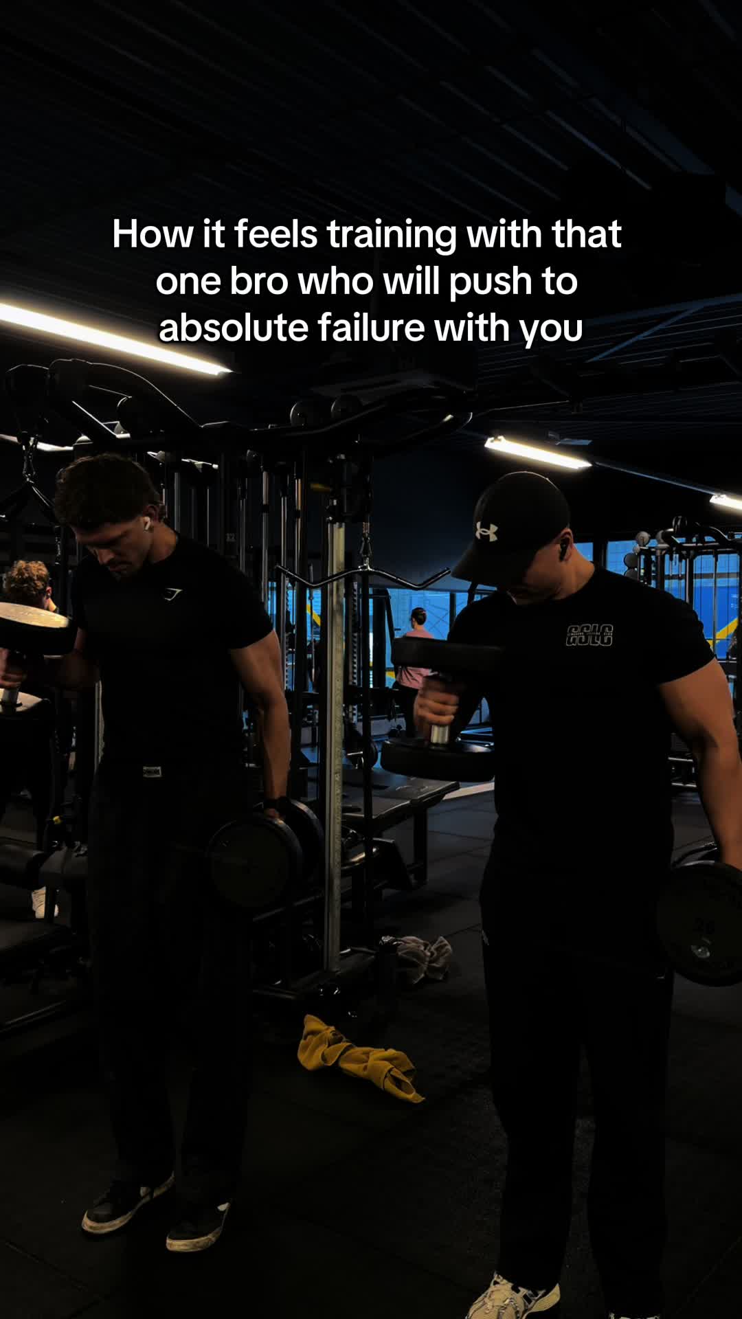 @rodyb