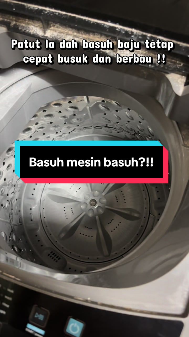 @Netizen Malaya
