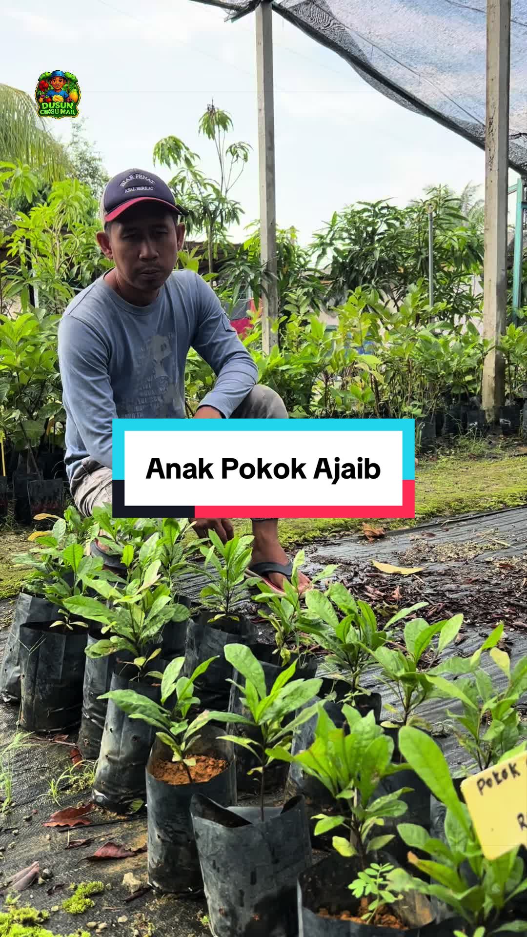 @Dusun Cikgu Mail