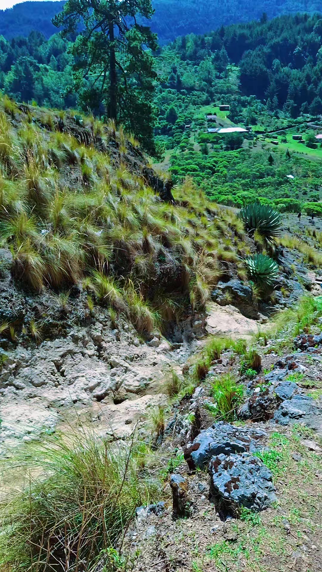 @La mu&ntilde;equita
