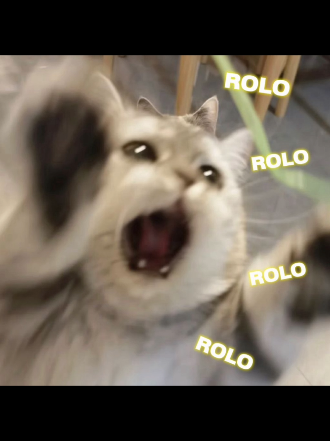@🐛