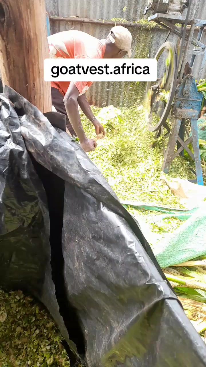 @Sam Kariuki