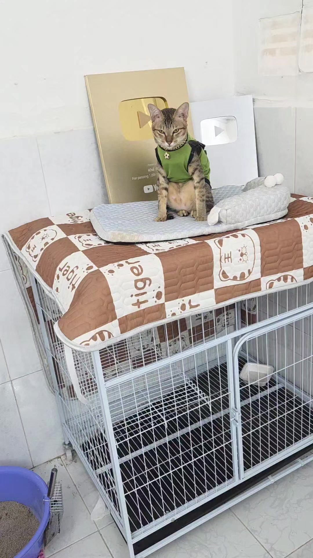 @Khế th&uacute;i