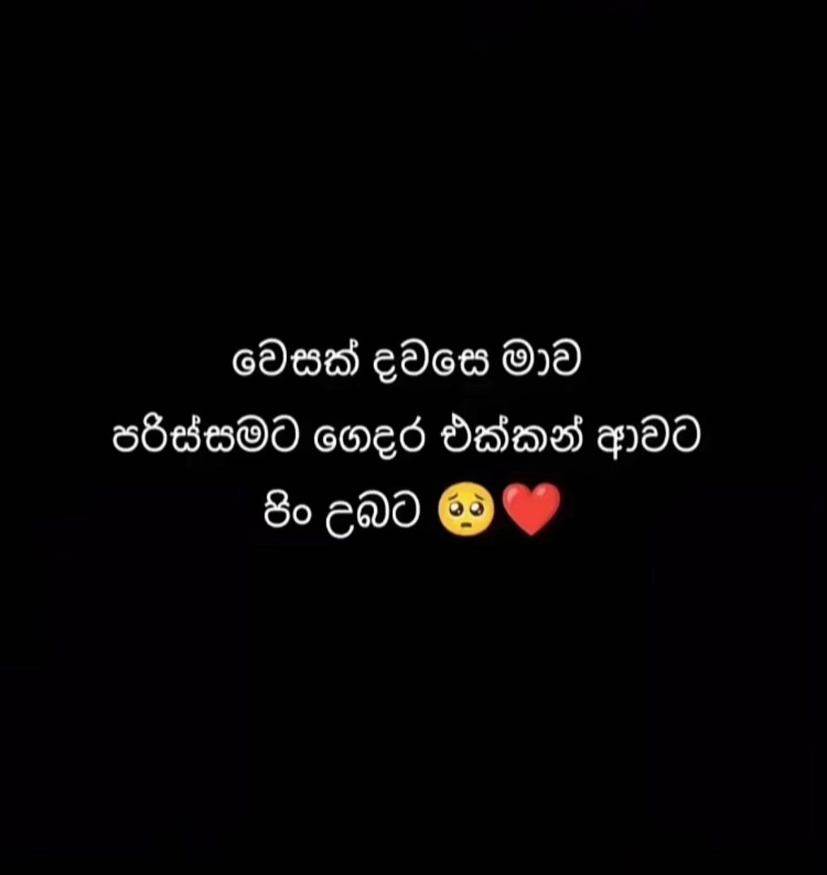 @👅පැලේ 💗🫀3/24 🫶❤️
