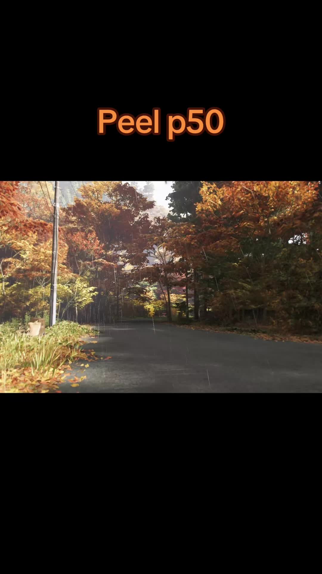 @𝓐𝓲𝓻93̷3̷3̷1