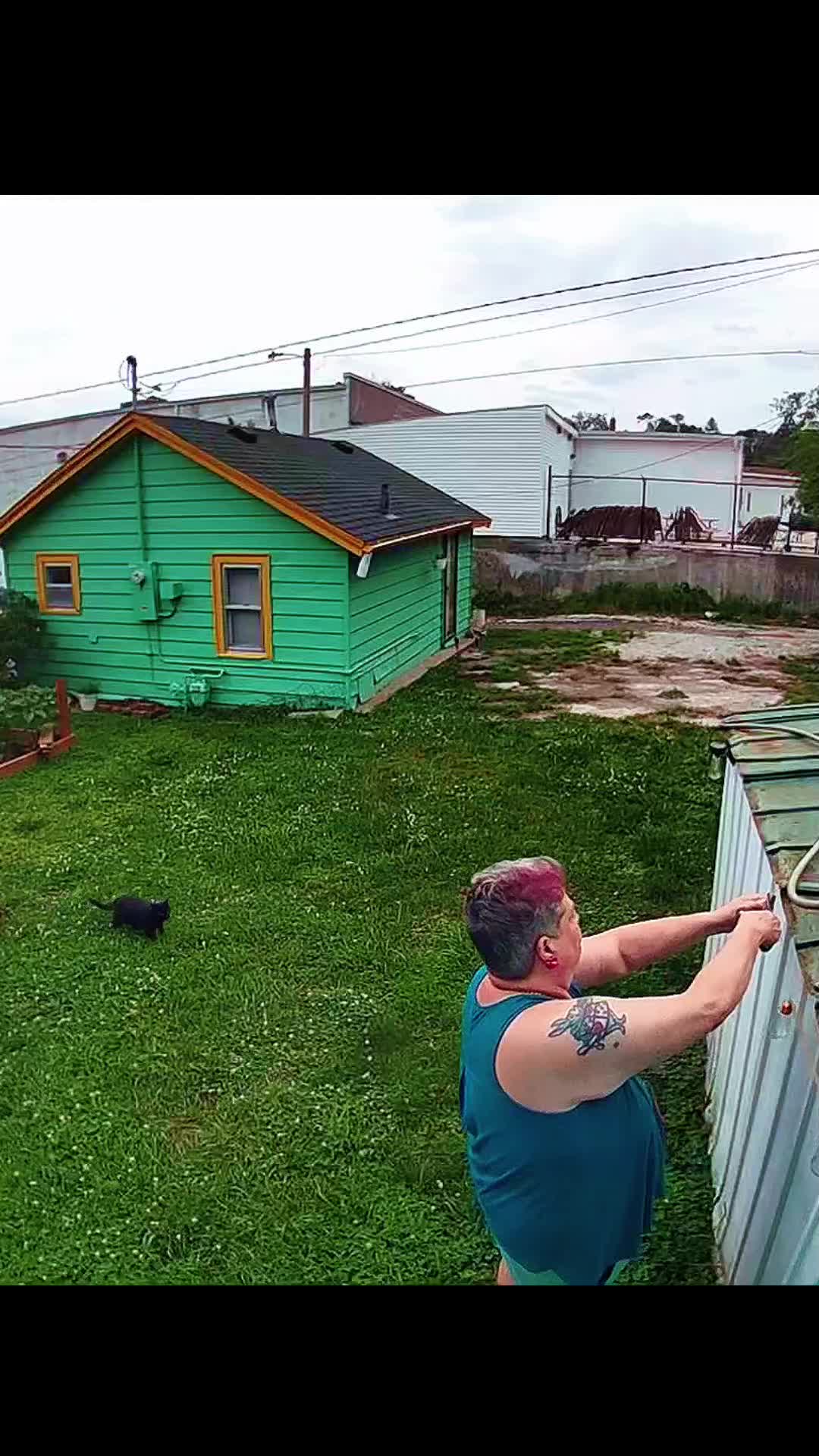 @north_omaha_cat_lady