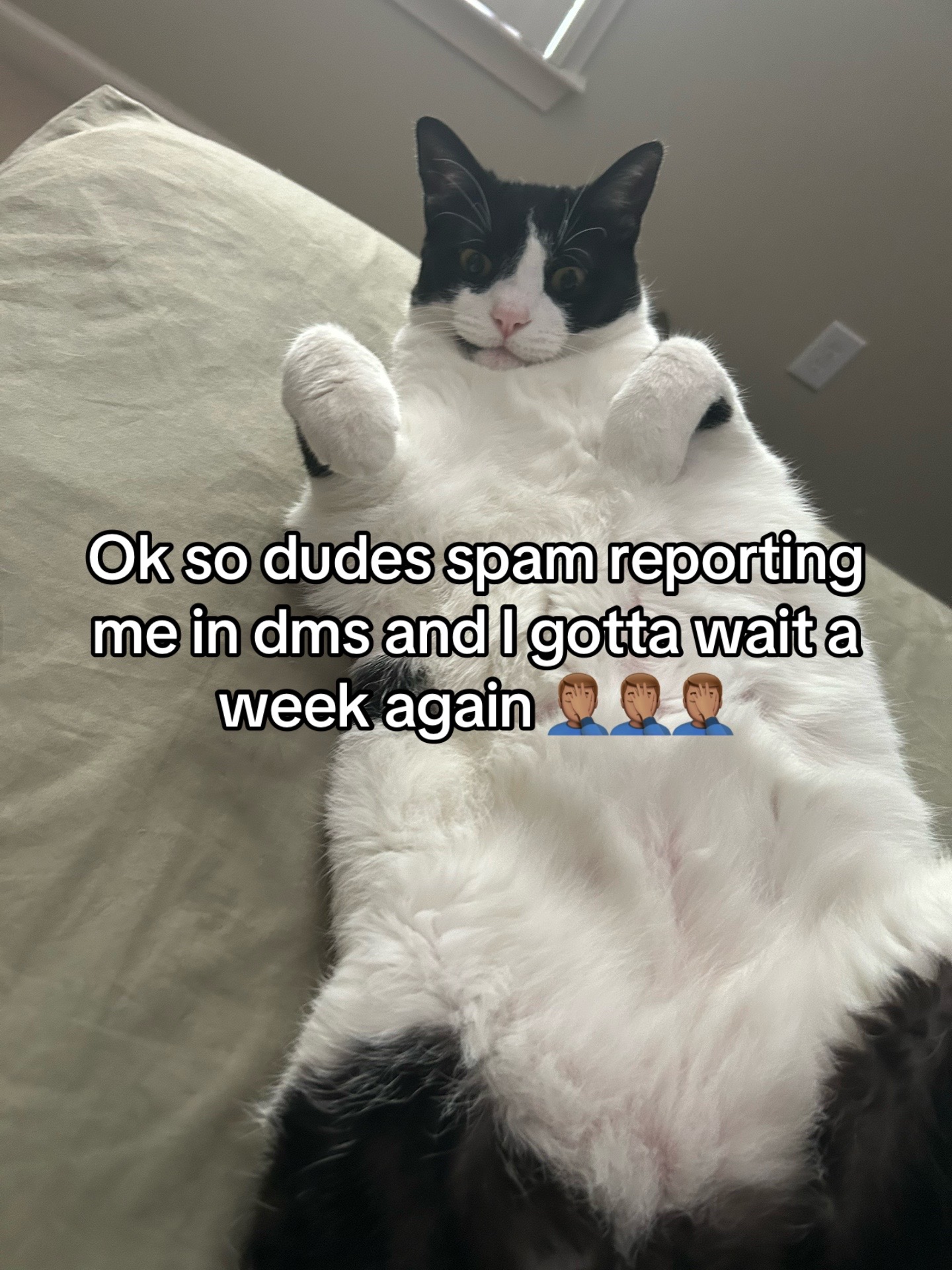@Masonblud