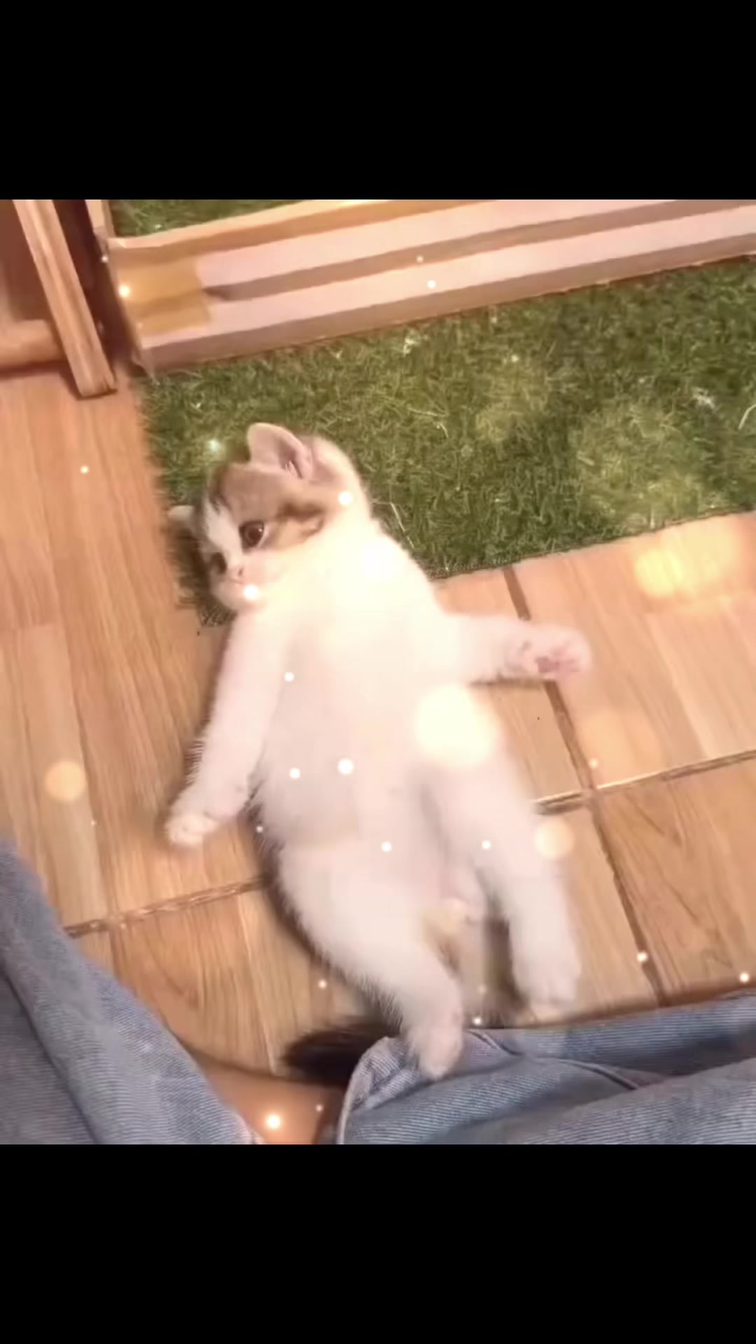 @UCHINOKOmohumohu