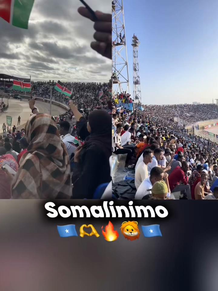 @TV_DAGODIA🇭🇹🦁🫡🦅🚨