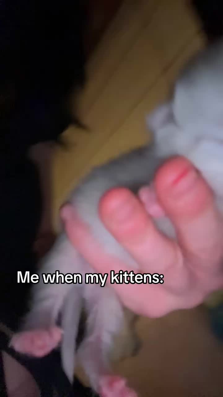 @✧.* 𝓢𝓴𝔂𝓮 ⋆.ೃ࿔*:･ 🫪
