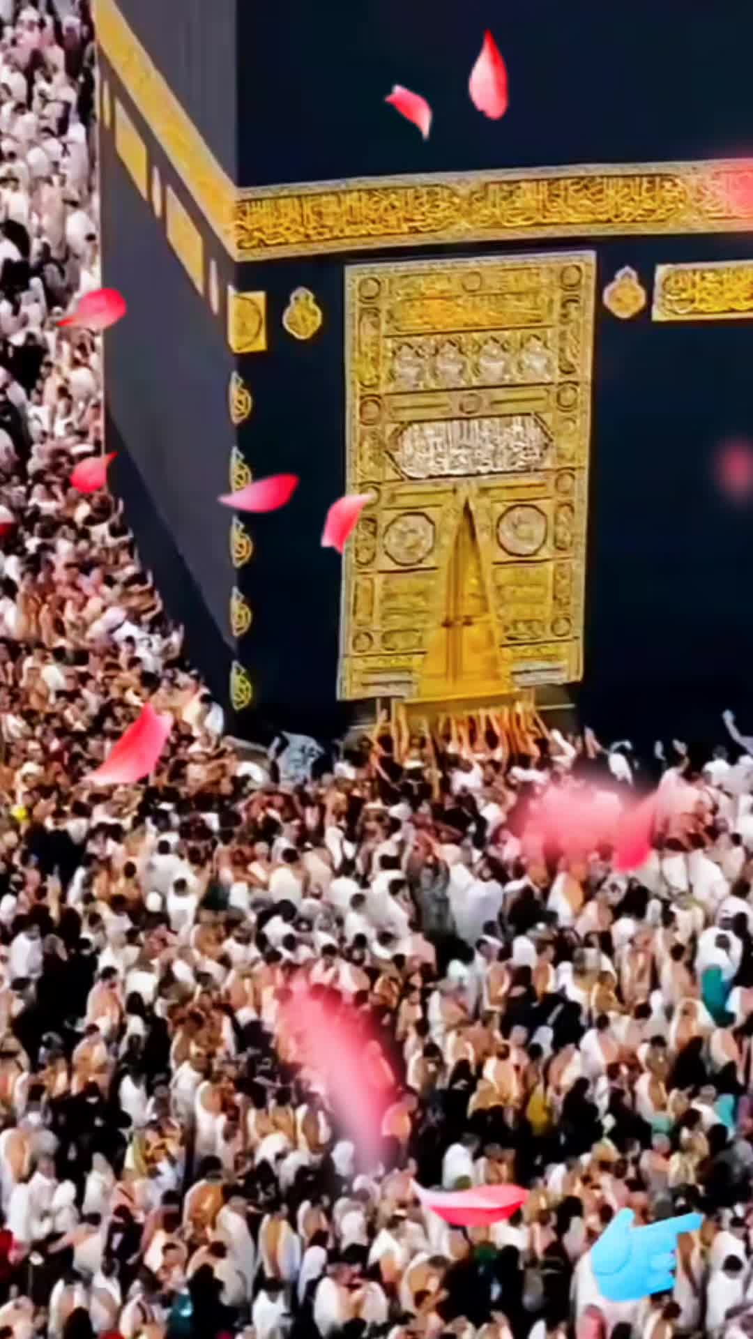 @amaan1949