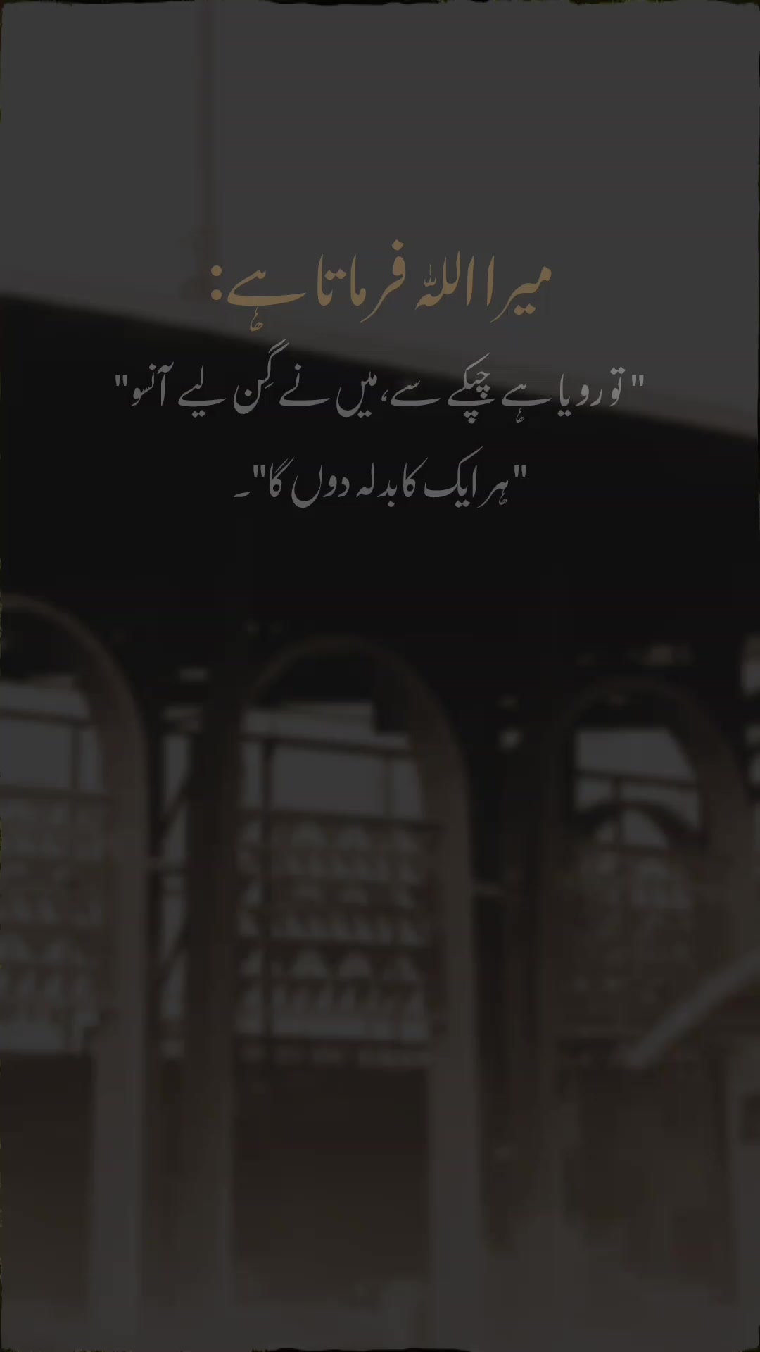 @لاحاصِل ہی سہی محبوب تو اپنا🍂