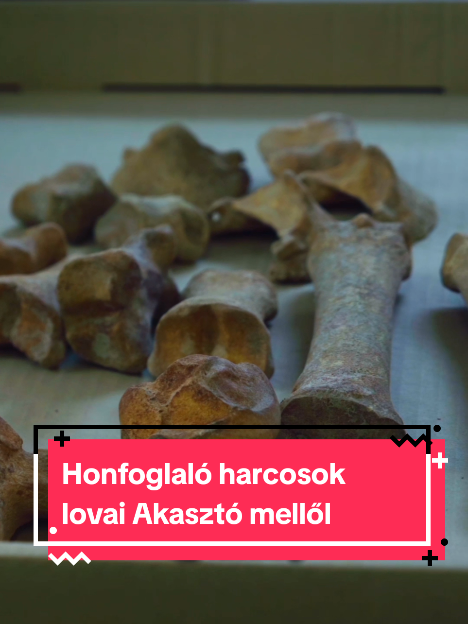 @Magyar Nemzeti Múzeum