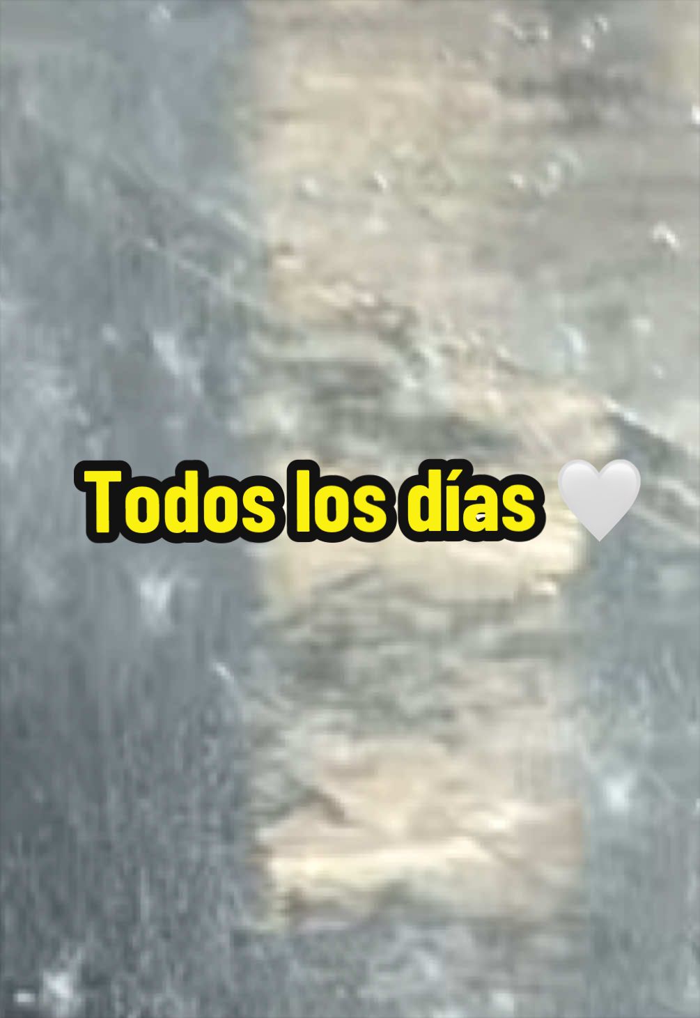 @thisispollo