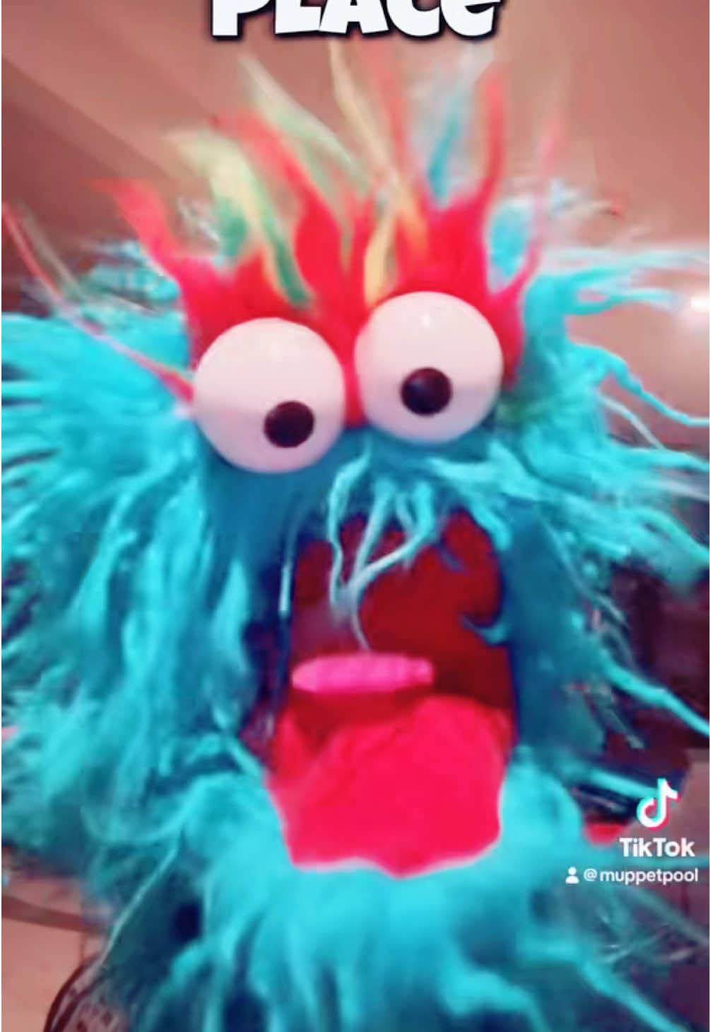 @MUPPETPOOL
