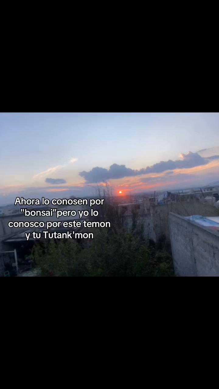 @ale_al55