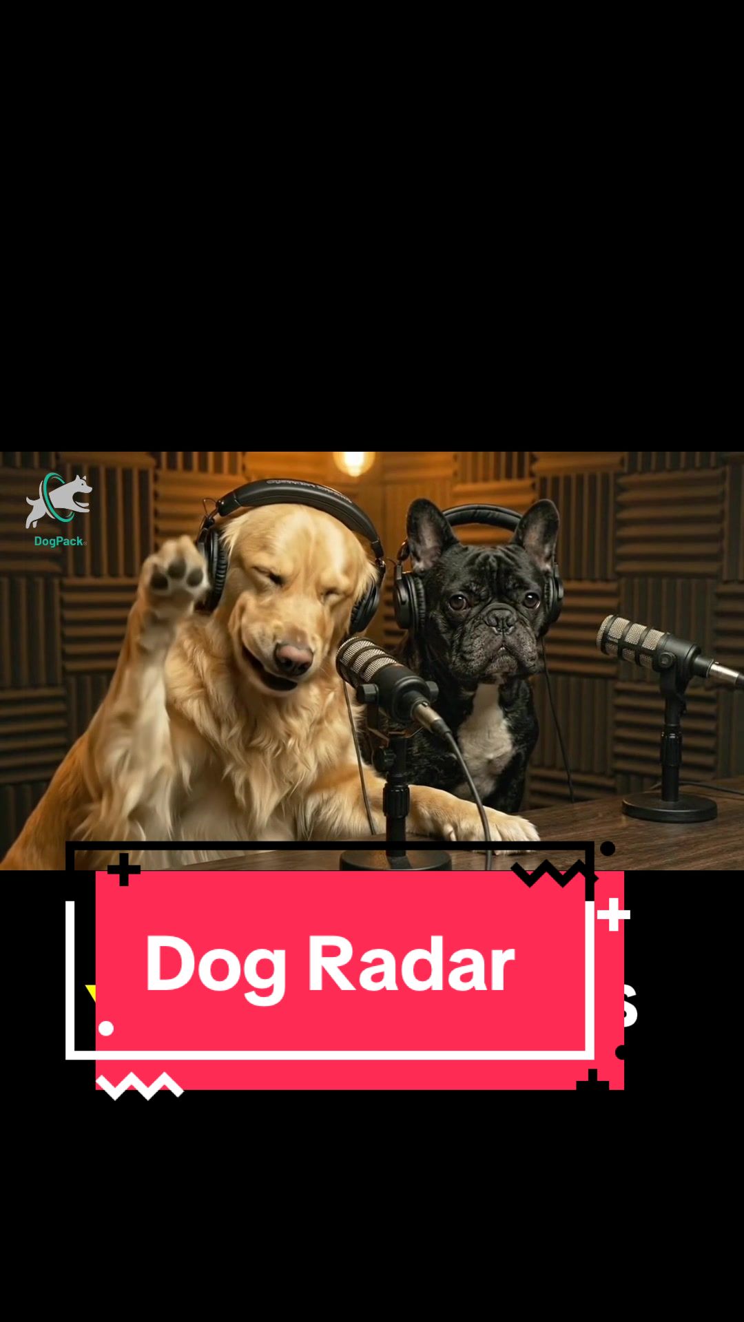 @DogPack