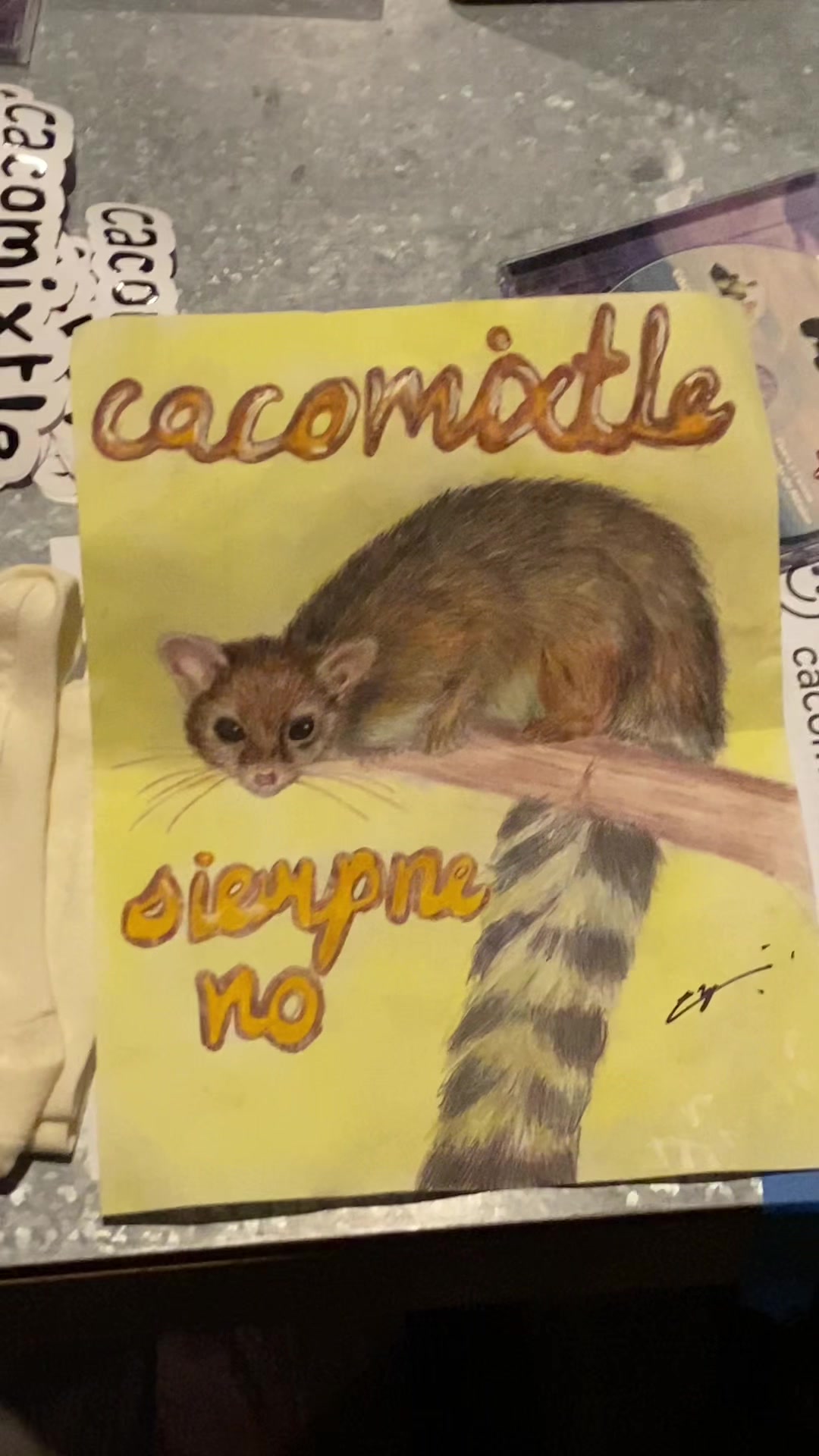 @cacomixtle
