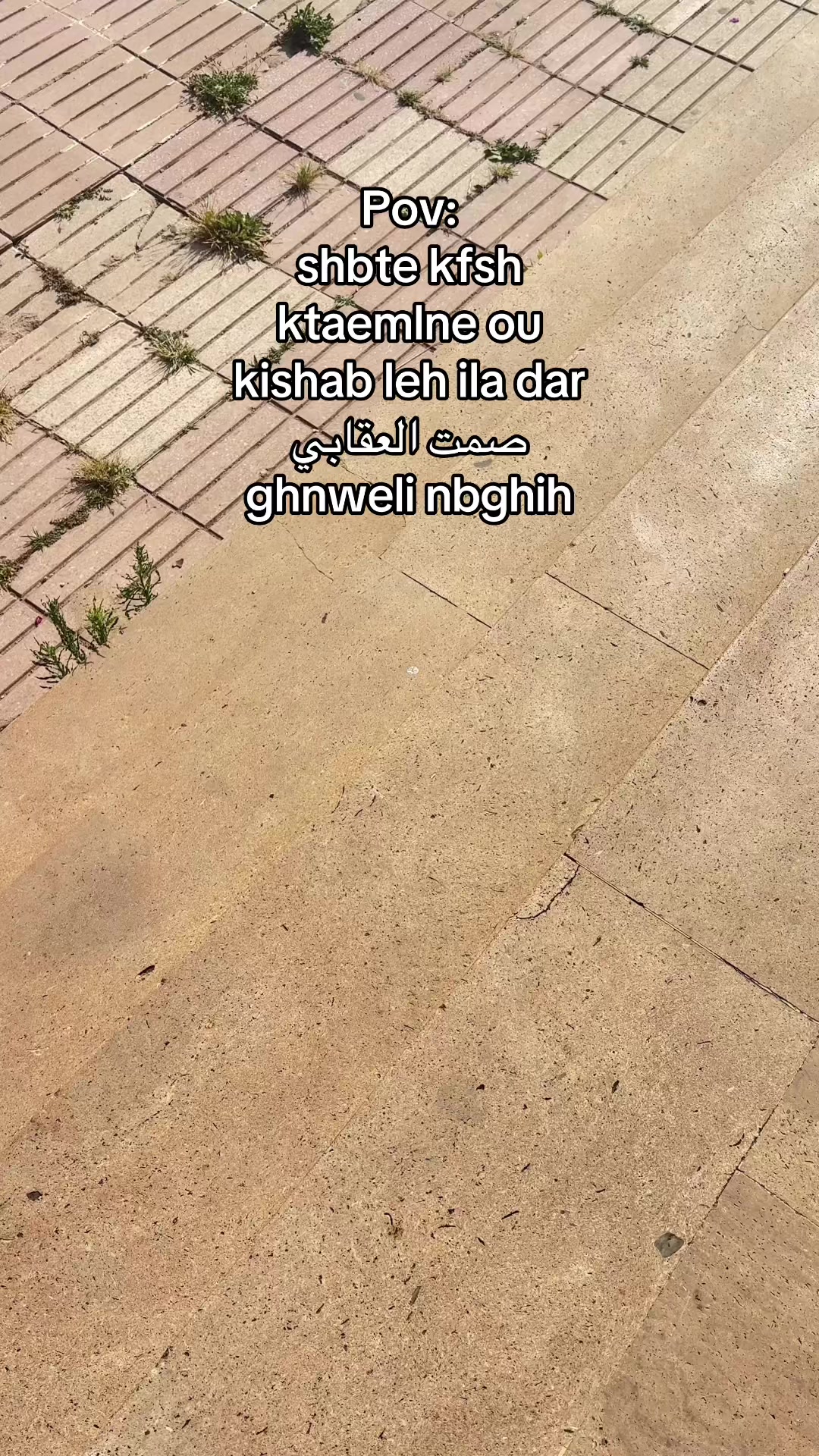 @israe