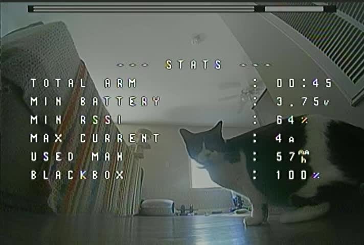 @TrashCatFPV