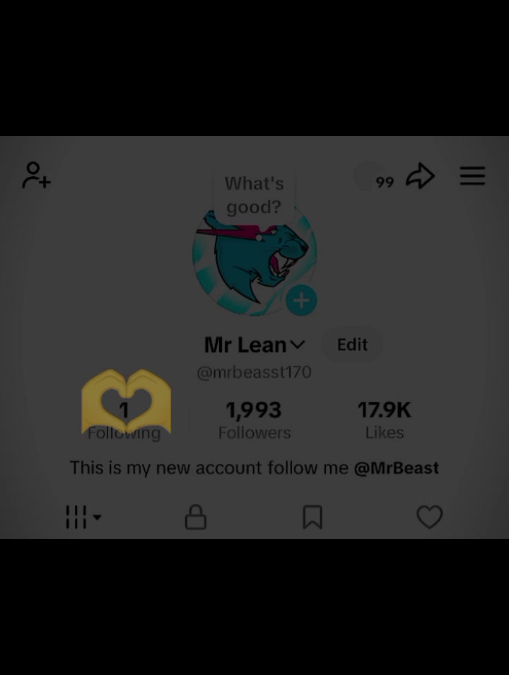 @Mr Lean
