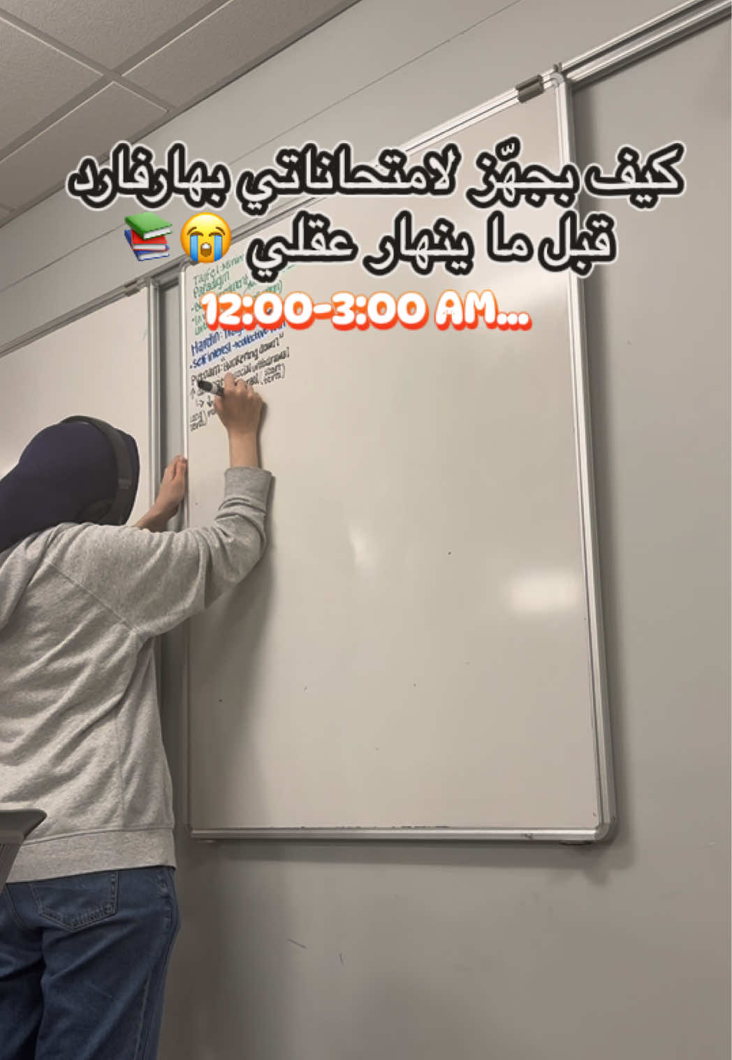 @shamqarqour