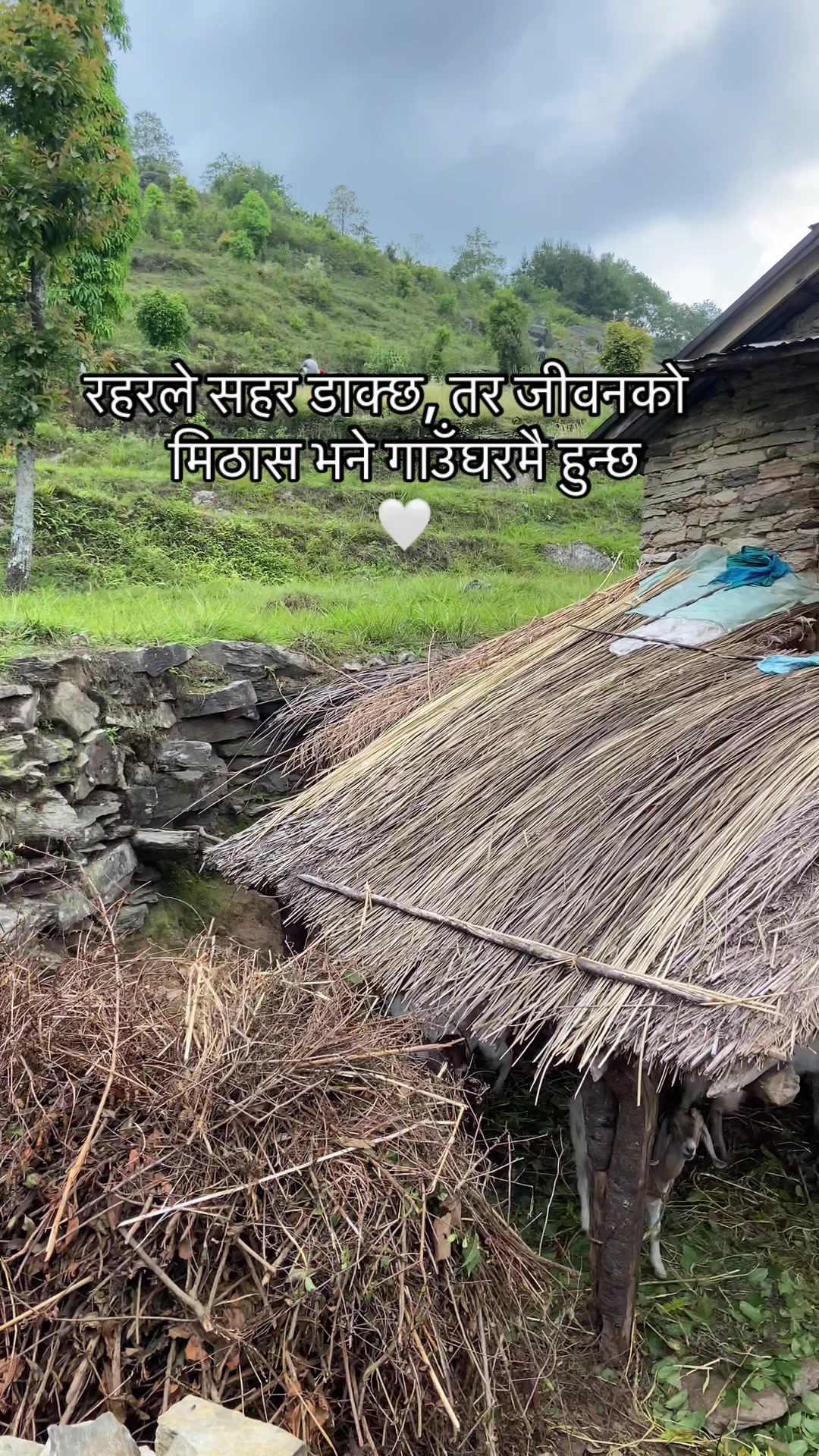 @nishanthakuri_