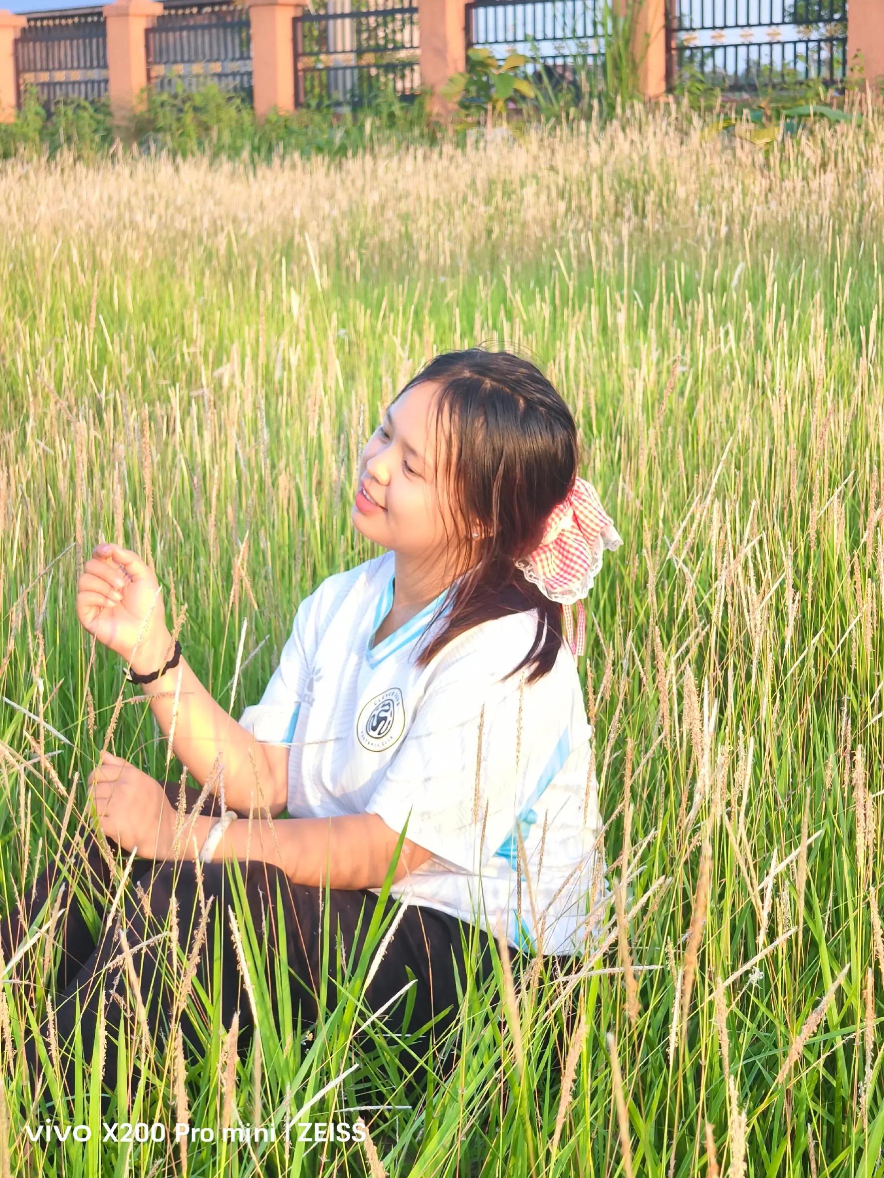 @Nvng Nvng🐷
