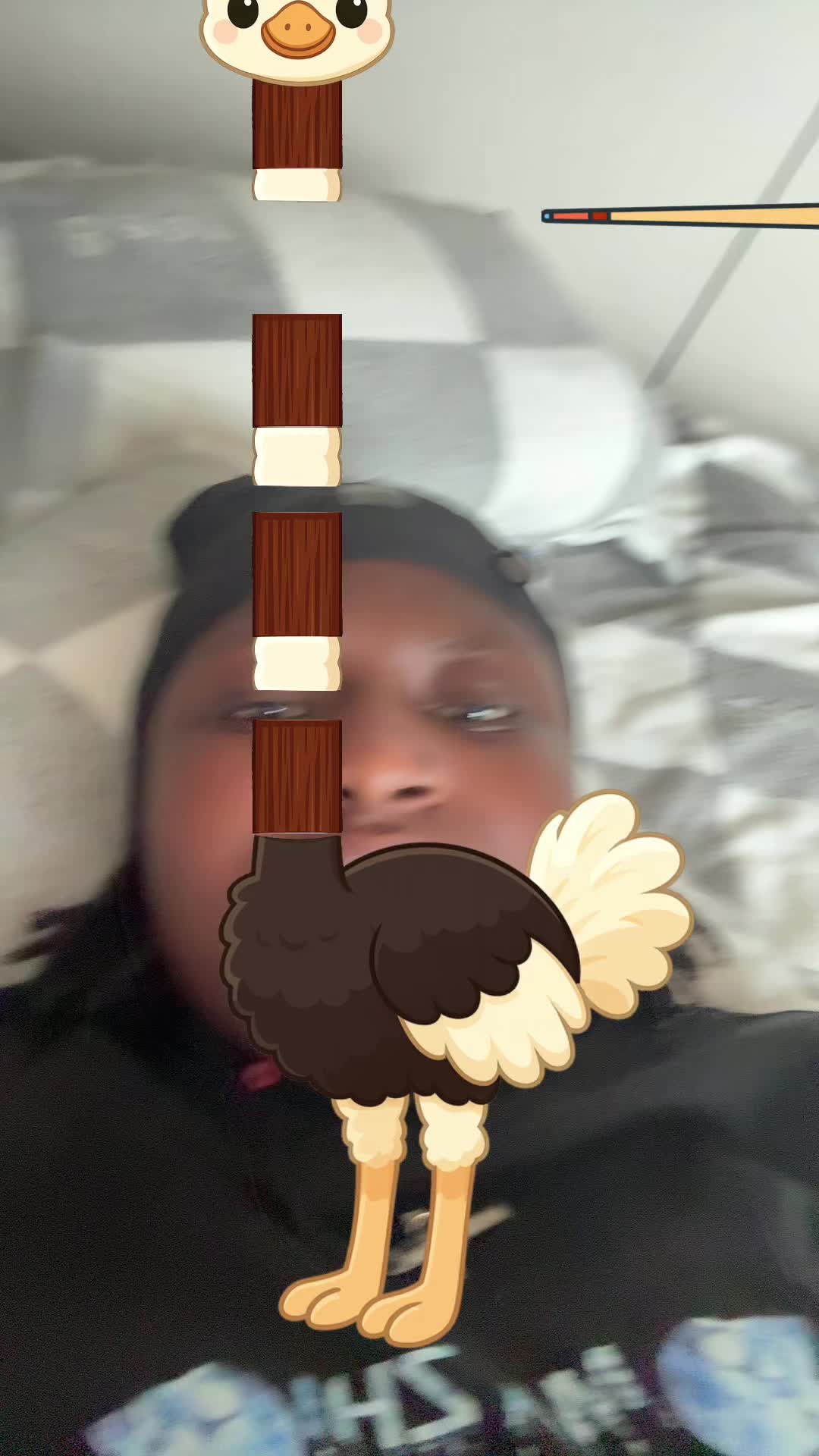 @vasdweo