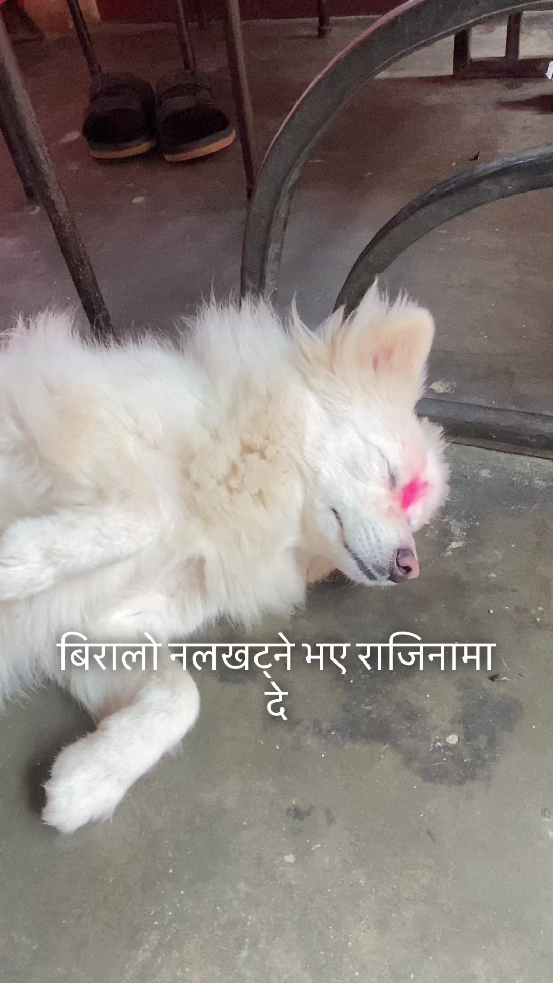 @suzan shrestha