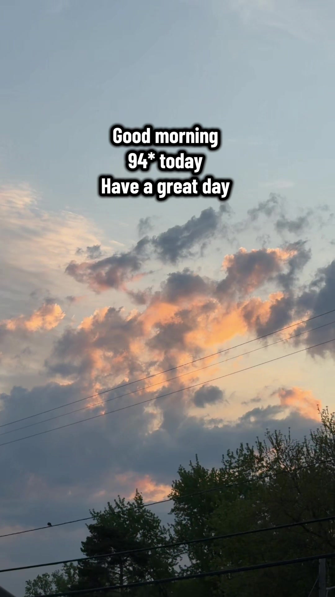 @🦋jojo🇺🇸🇺🇸
