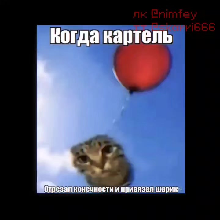 @с͎к͎а͎р͎р͎и͎ 😀