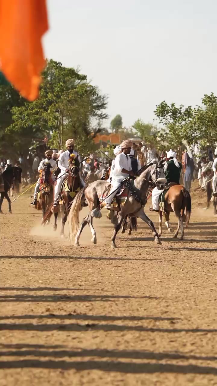 @RAJA SAQIB ALI SAQI