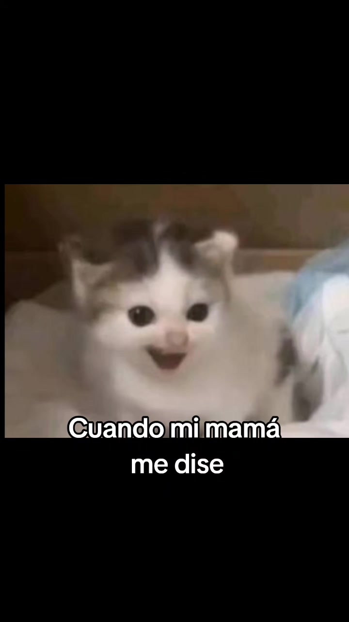 @lile>tiktok