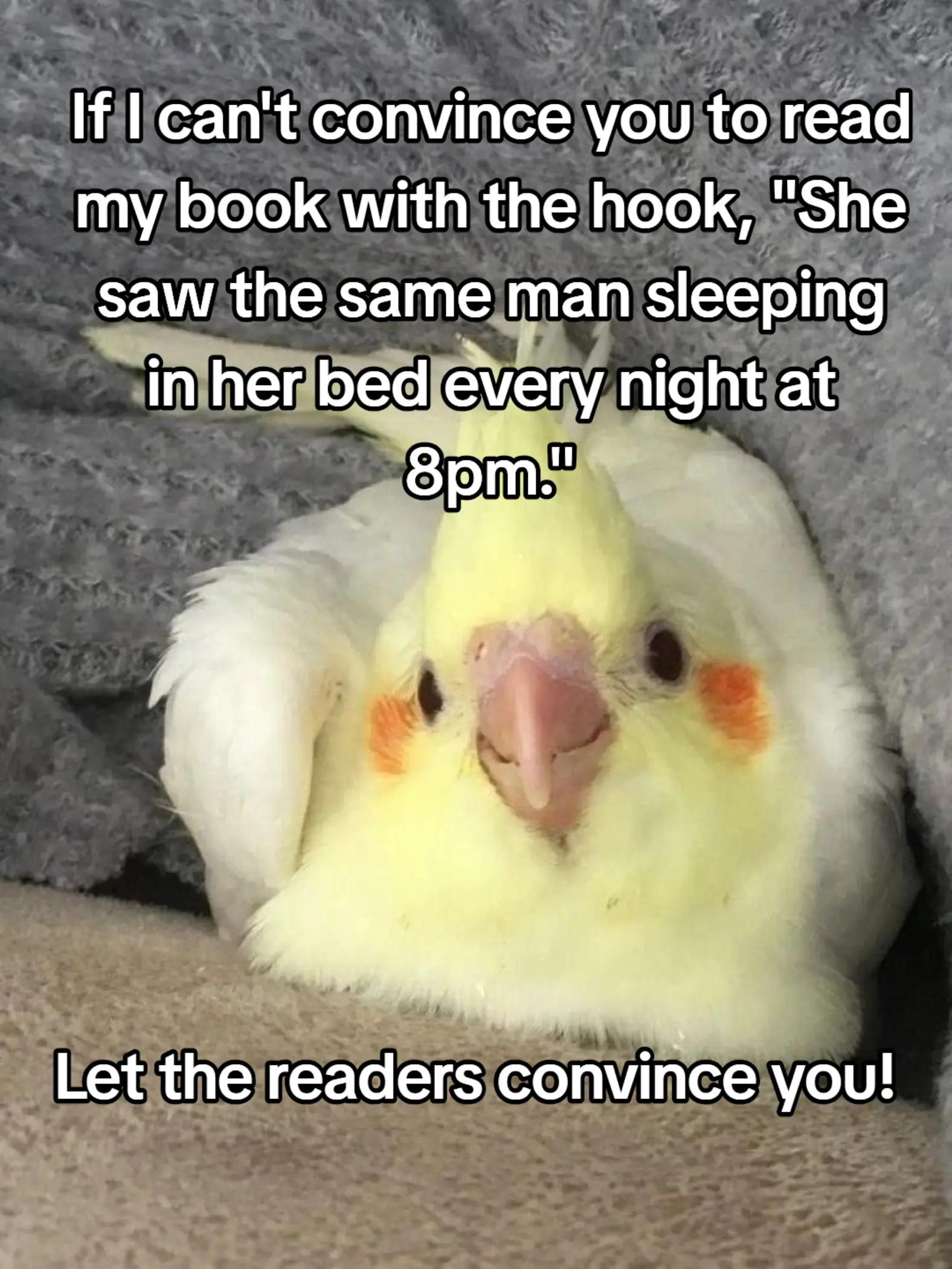 @Chloe ๐ - YA Author